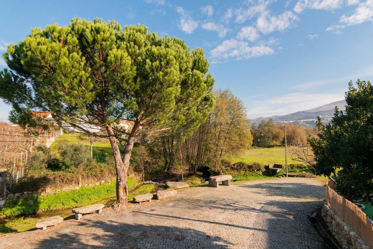 Casa Do Loureiro 1 - Seia - Serra Da Estrela Esterno foto